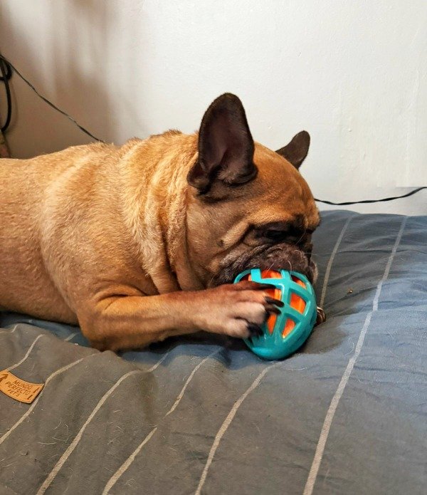 Miniatura de producto - 3