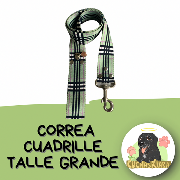 Producto - Correa Grande