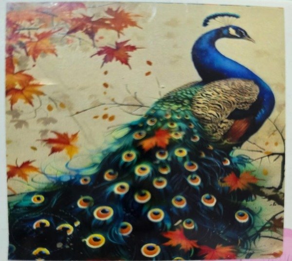 Producto - DIAMOND PAINTING 20X30 HI STONE  PAVO REAL