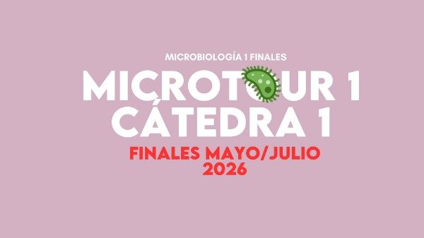 Producto - MICRO 1 FINALES