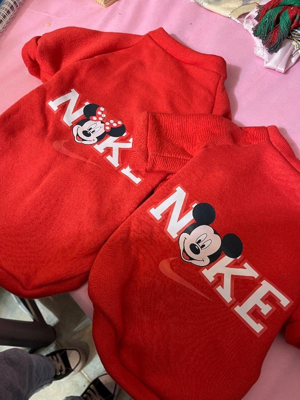 Producto - Buzo Mickey y Minnie - 0