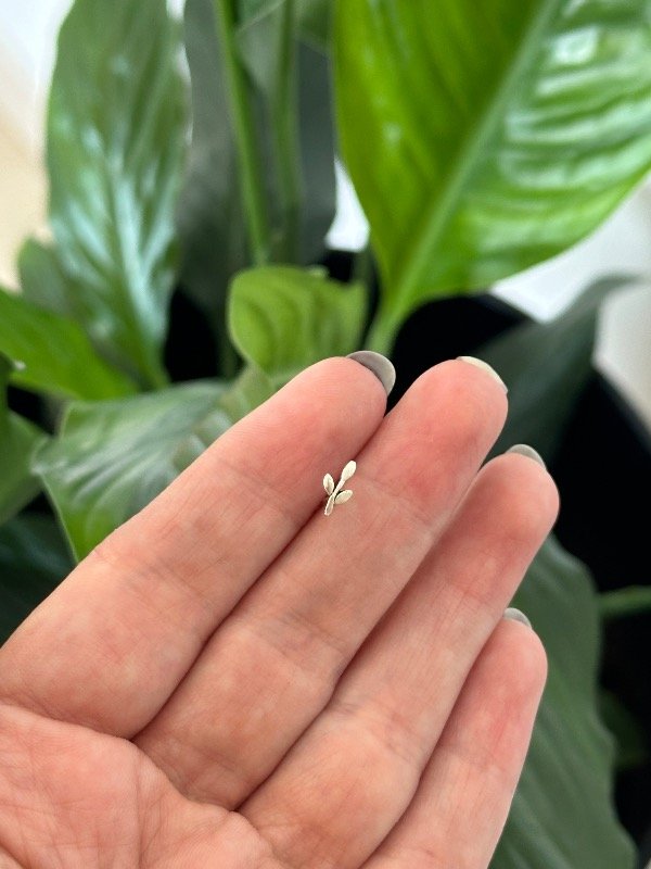 Producto - Miniatura Hoja (unidad) - 1