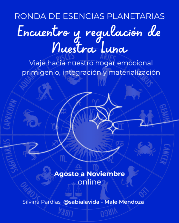 Producto - Ronda de encuentro y regulación de nuestra Luna