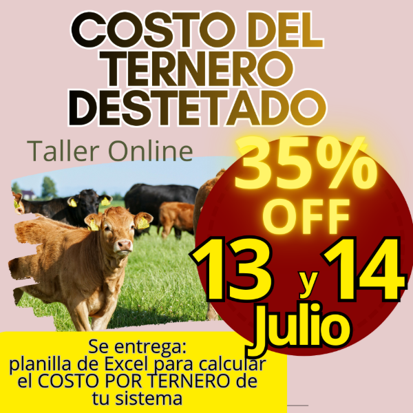 Producto - Taller Online: Costo del Ternero