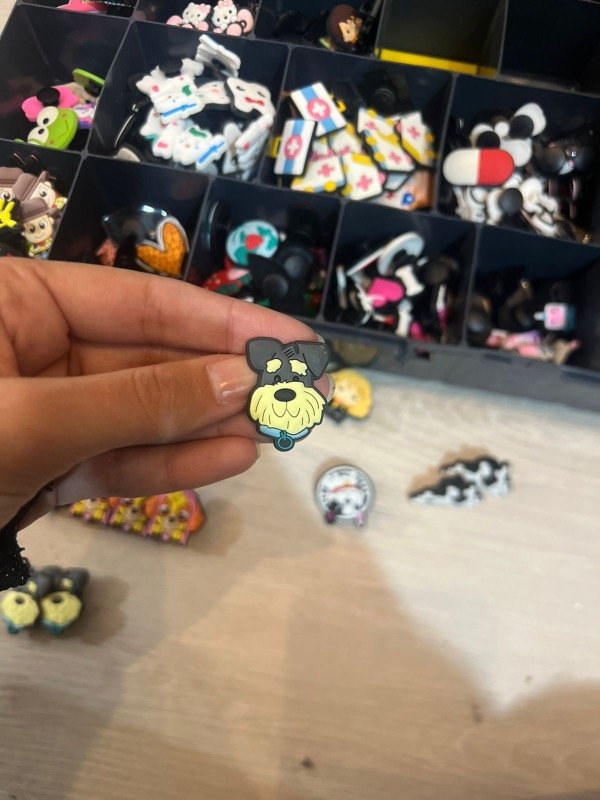 Producto - Pin de crocs Perrito5
