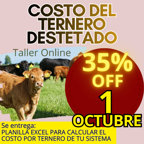 Producto - Taller Online: Cálculo del Costo del Ternero - 0