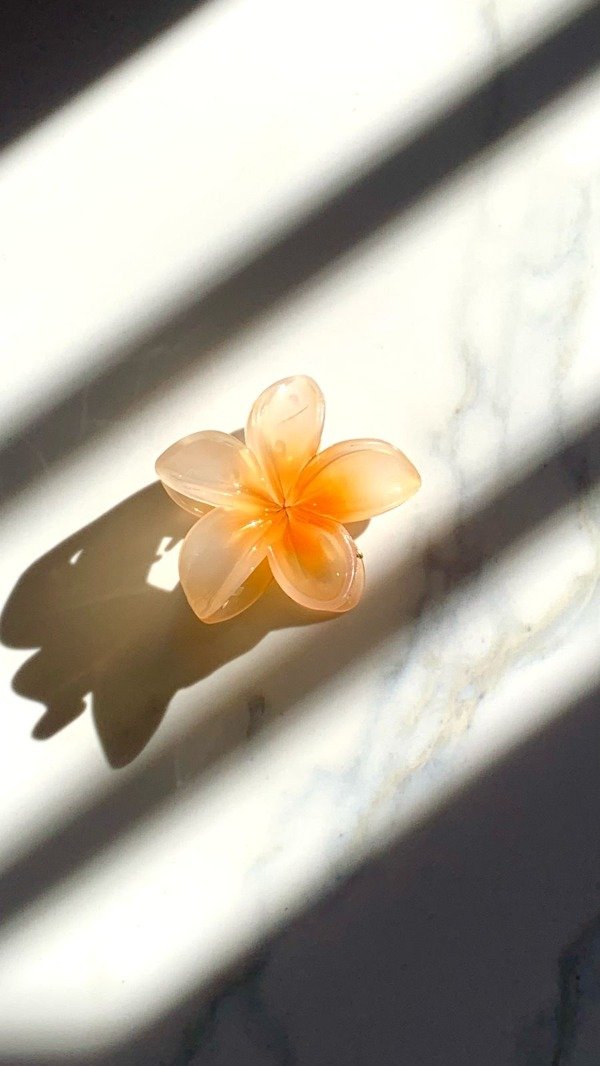 Producto - FLOWER CLIP TROPICAL