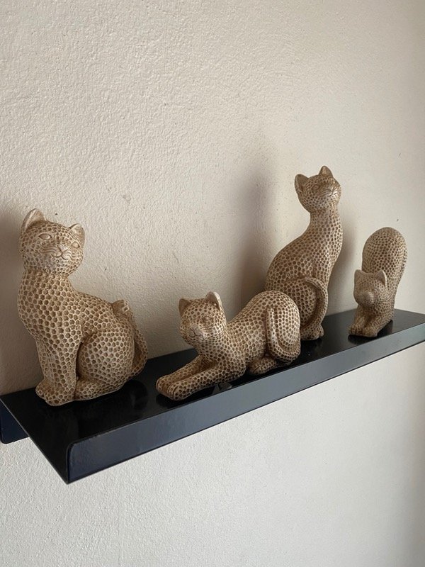 Producto - Gatitos mini