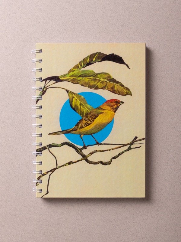 Producto - Cuaderno Pajarito - rayado