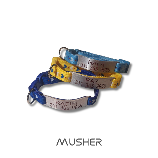 Producto - Collar Simple con Chapita pasante p/ Gatos