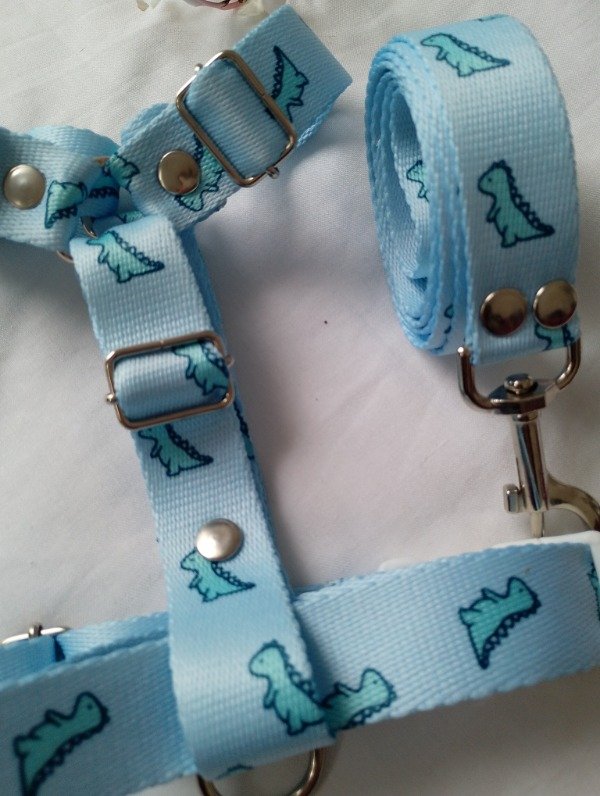 Producto - Conjunto Dino Baby Blue - 3