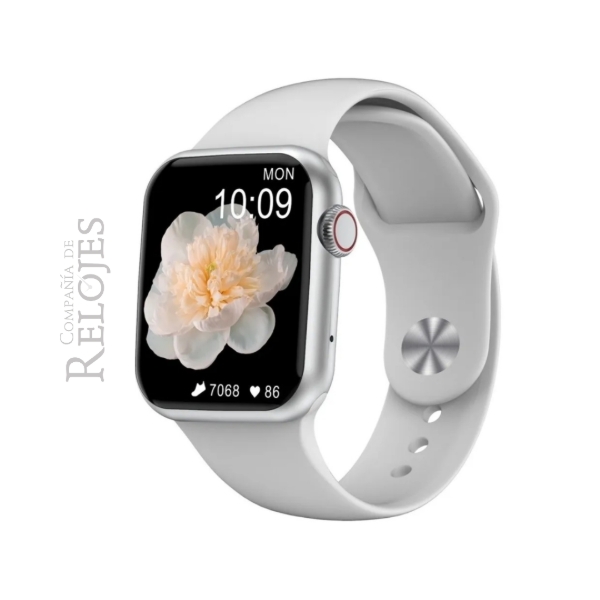 Smartwatch DT100 GRIS - Compañía de Relojes