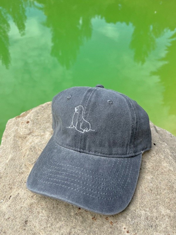 Producto - Lobo marino gris