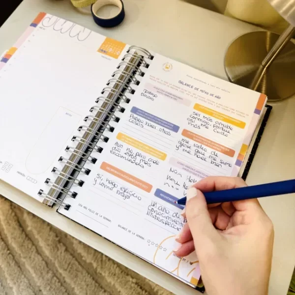 Producto - AGENDA PROYECTO IMPORTANTE - Diaria - 4