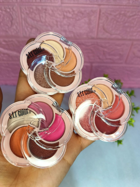 Producto - Sombra Pocket x5 tonos