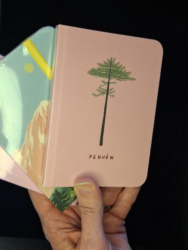 Producto - Libreta pocket - Pehuen