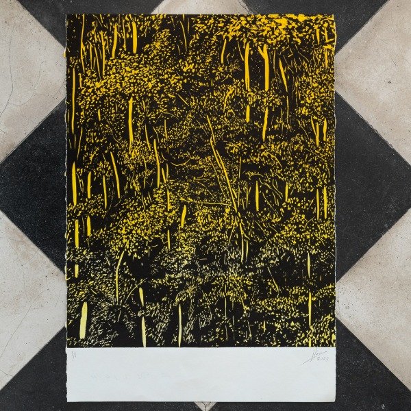 Producto - Xilografia Selva 35x50 cm de Hernan Borches