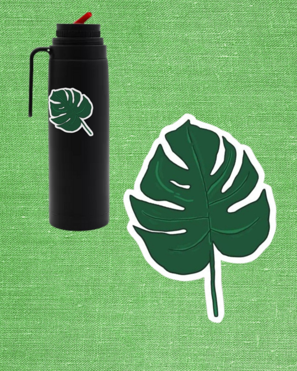 Producto - Hoja monstera