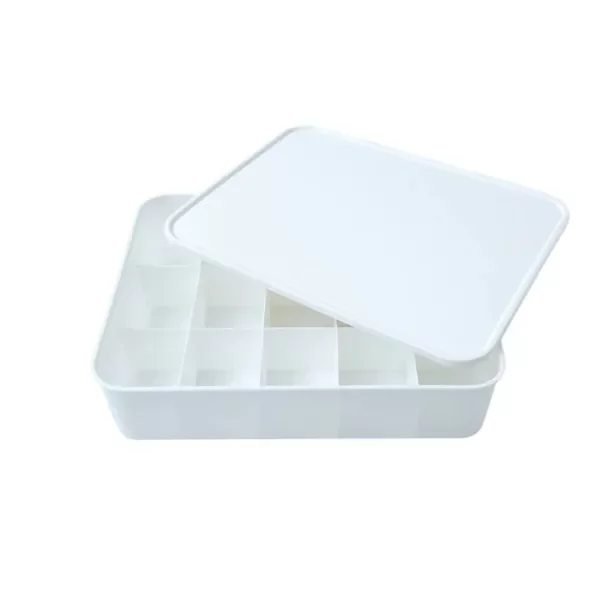 Producto - Caja Organizadora con tapa 15 Divisiones