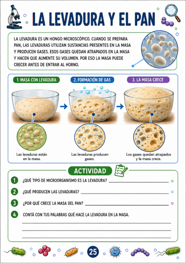 Producto - Vida de los Microorganismos - 13