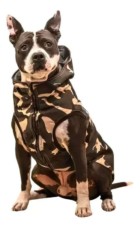 Producto - CHALECO CAMPERA CAMUFLADO
