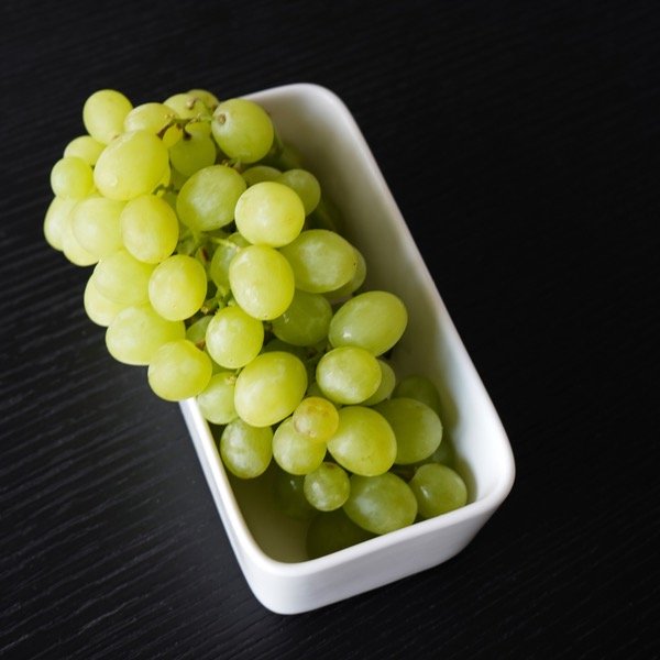 Producto - RECIPIENTE DE PORCELANA