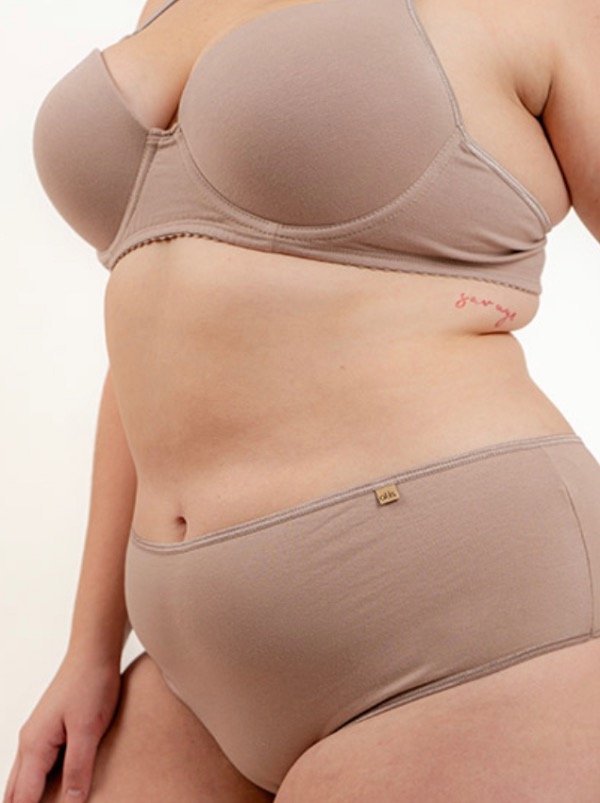 Producto - Bombacha vedetina alta. Pack x 2 unidades