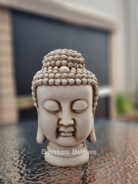 Producto - CABEZA BUDA 30cm