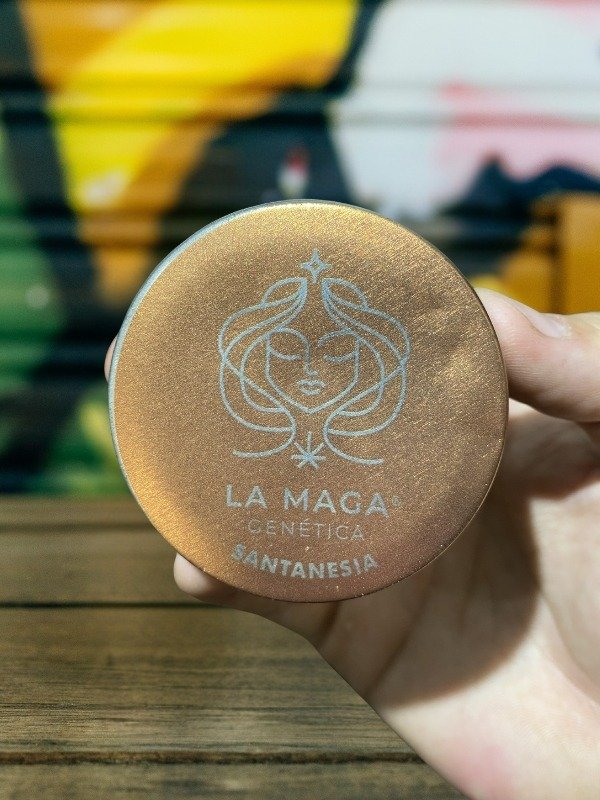 Producto - La Maga Semillas Santanesia