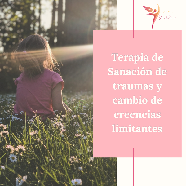Producto - Terapia de Sanación emocional