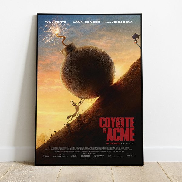 Producto - Coyote Vs. Acme - 9
