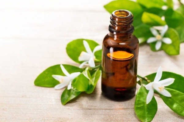 Producto - ACEITE ESENCIAL NEROLI 15 ML