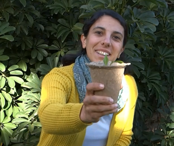 Producto - Macetas por mayor