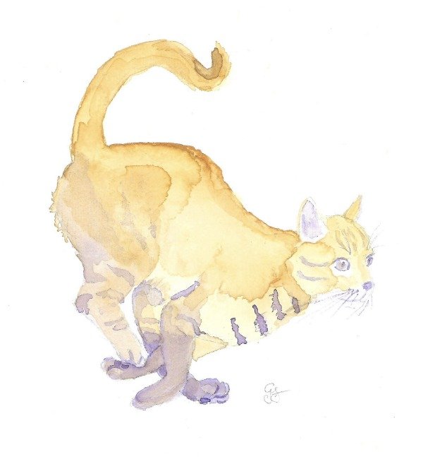 Producto - Gato corriendo