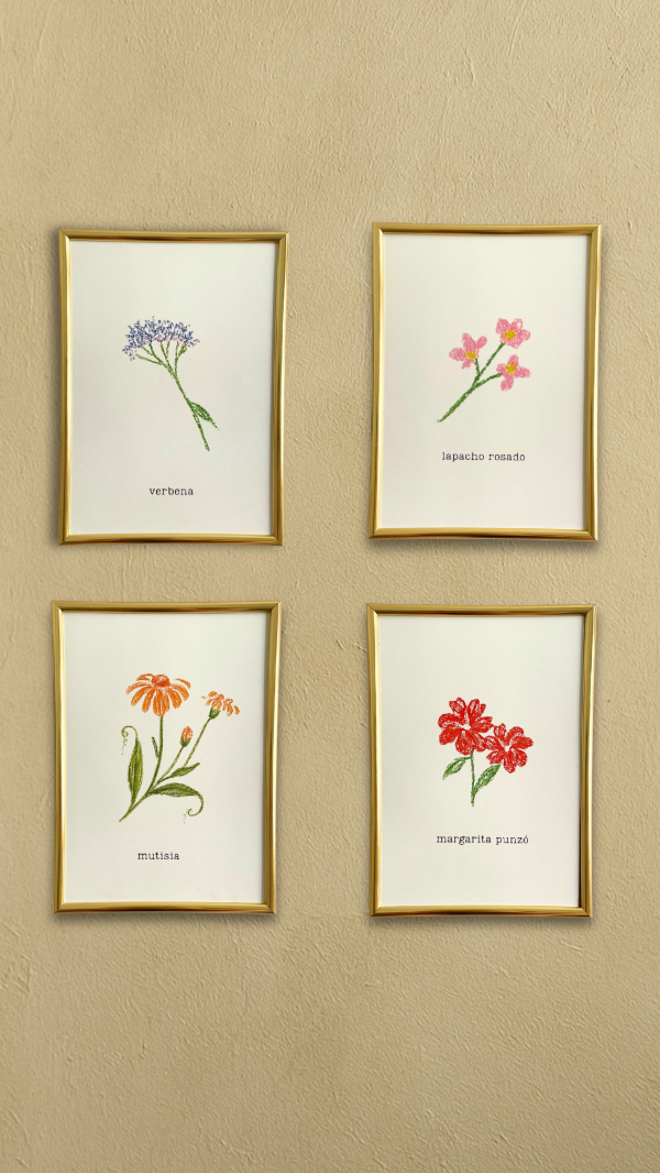 Producto - SERIE 4 nativas argentinas + marco dorado