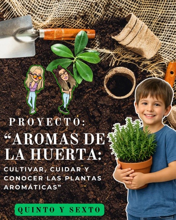 Producto - PROYECTO. HUERTA AROMÁTICA. QUINTO Y SEXTO GRADO