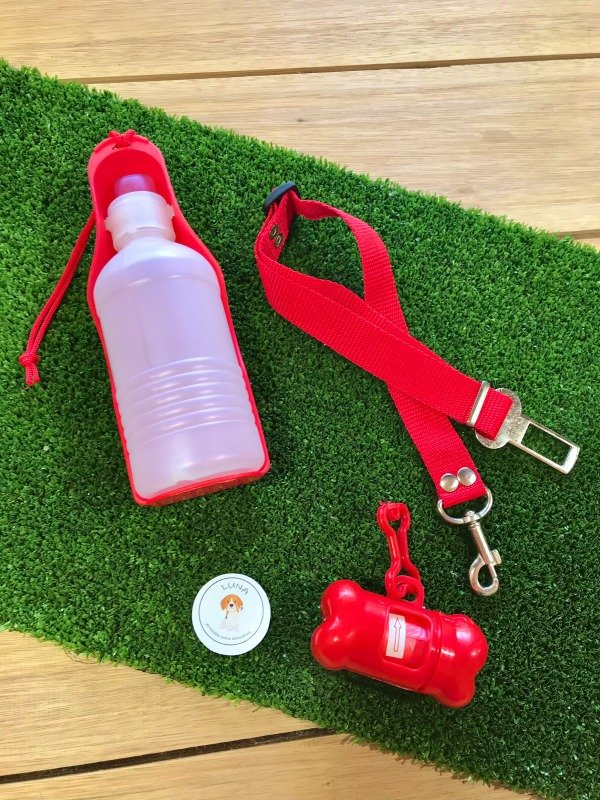Producto - Kit paseos