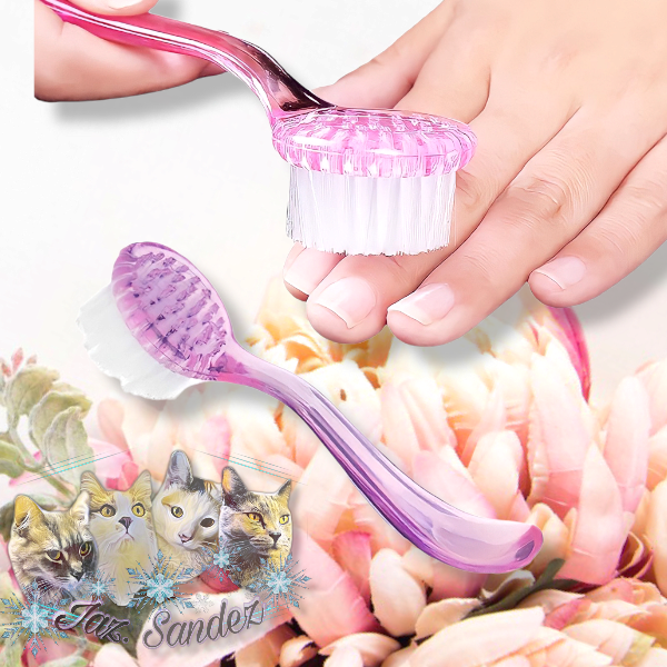 Producto - CEPILLO CON MANGO (COLOR SURTIDO)