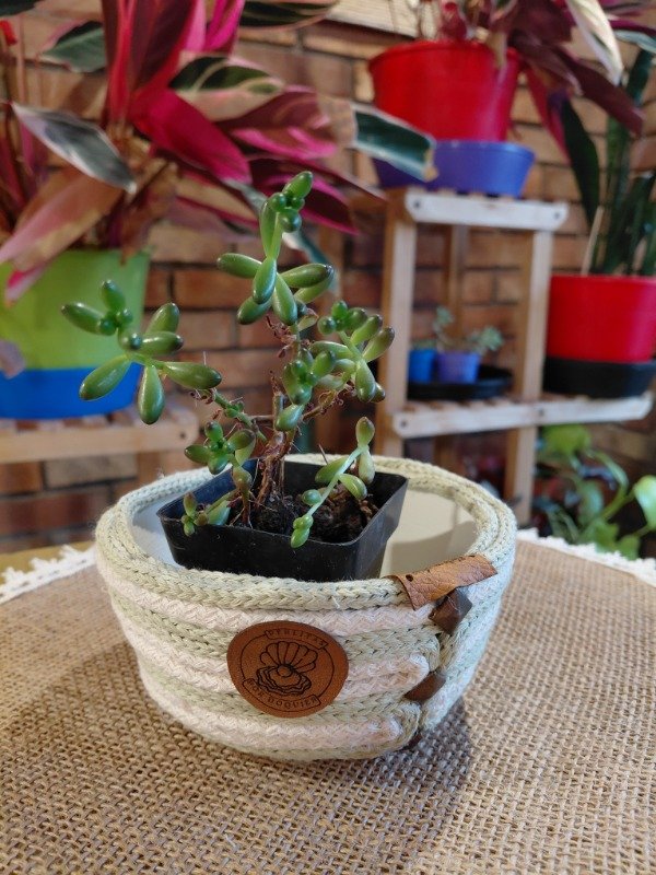 Producto - Portamaceta