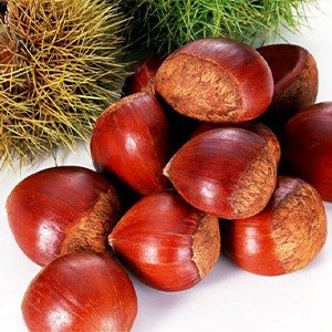 Producto - Castanea sativa (Castaño)