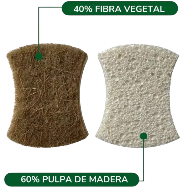 Producto - Esponja de cocina doble faz [Vida Vera]