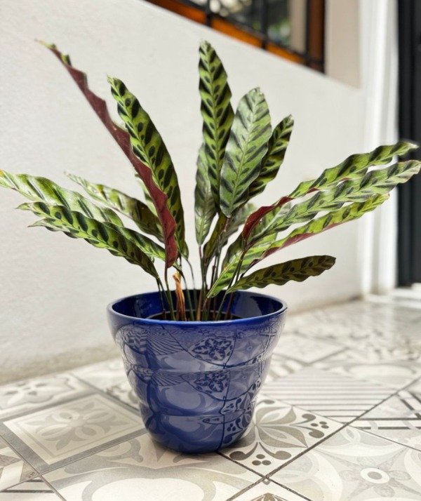 Producto - Maceta Cairo