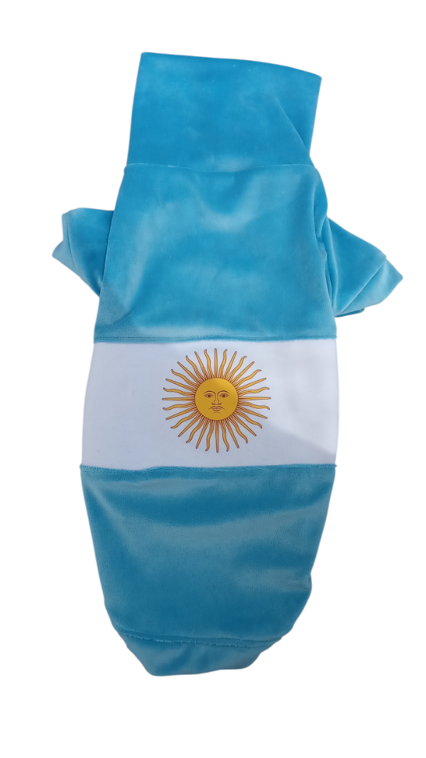 Producto - Poleron bandera de plush celeste talle 4 y 6