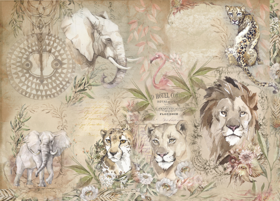 Producto - SAVANNA 1