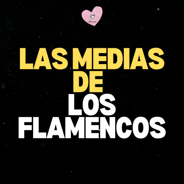 Producto - LAS MEDIAS DE LOS FLAMENCOS