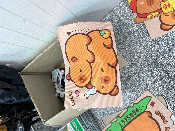 Producto - Alfombra Capibara chica
