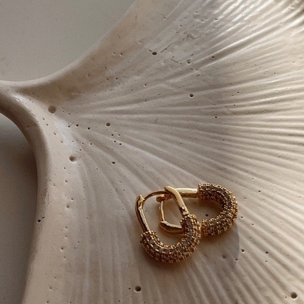 Producto - Aros Gancho micropave gold - 3