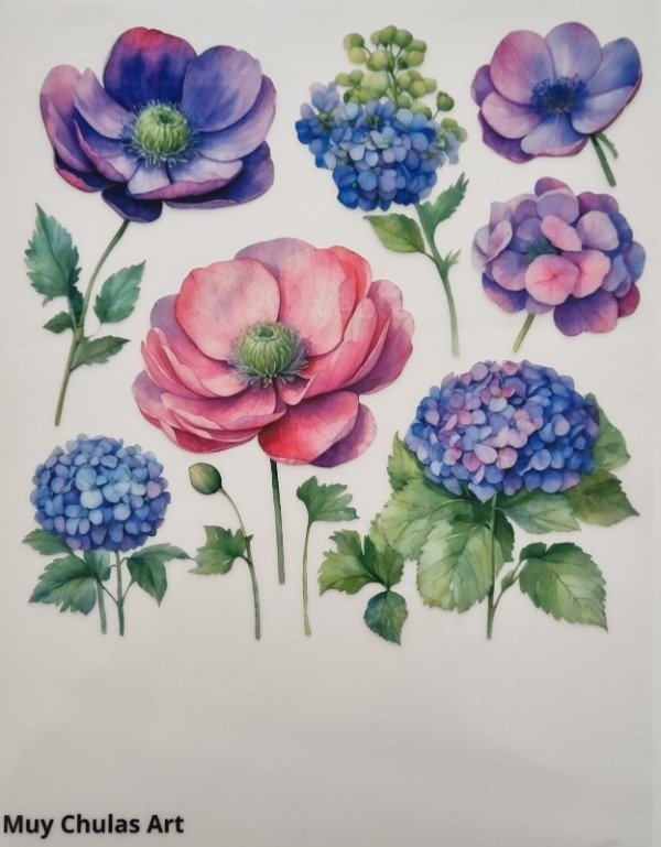 Producto - Hortensias y amapolas