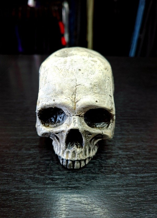 Producto - Calavera Decorativa