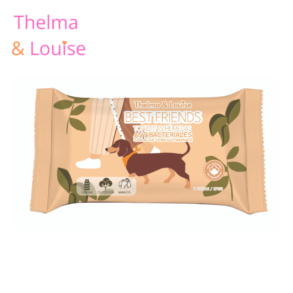 Producto - Toallitas humedas antibacteriales con aloe vera